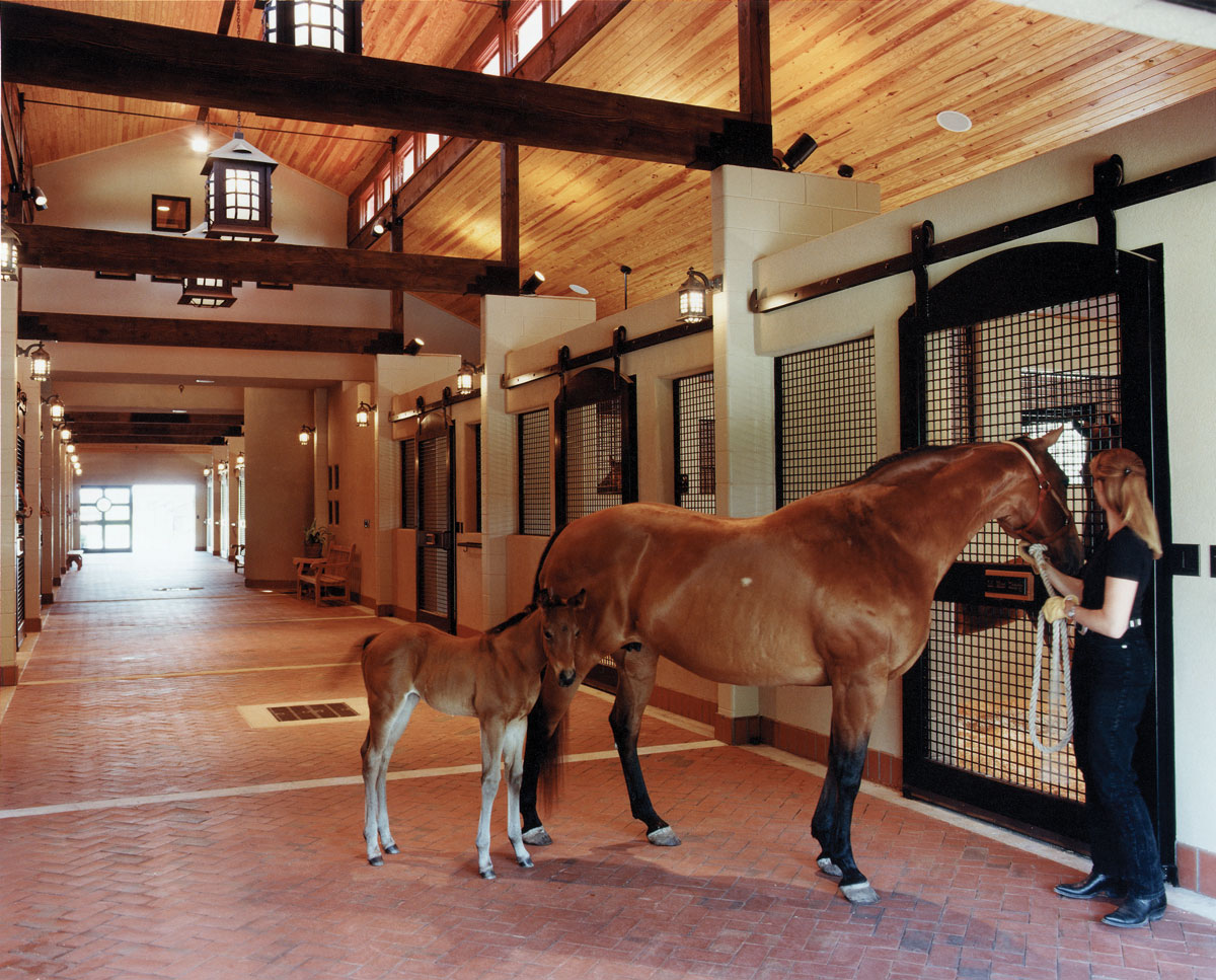 Lucas Equine Horse Stall Design and Custom Stable Equipment