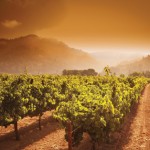 sonoma-county-atmani-tours-1