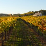 sonoma-county-atmani-tours-2