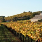 sonoma-county-atmani-tours-5