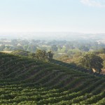 paso-robles-wine-country-6