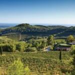 wines-of-bandol-from-the-cote-d-azur-2