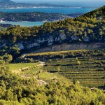 wines-of-bandol-from-the-cote-d-azur-6