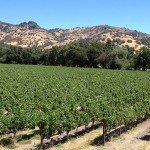 napa-valley-wine-cellars-7