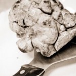 white_truffle