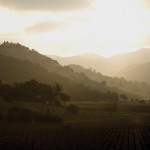 winter-wonders-napa-1