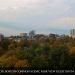 ritz-carlton-boston8