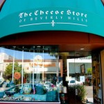 the-cheese-store2