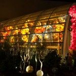 chihuly10