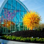 chihuly11