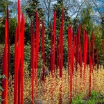 chihuly2