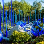 chihuly4