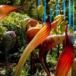 chihuly6