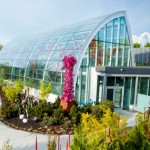 chihuly-garden-glass2