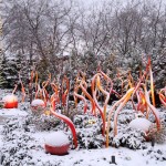 chihuly-garden-glass5