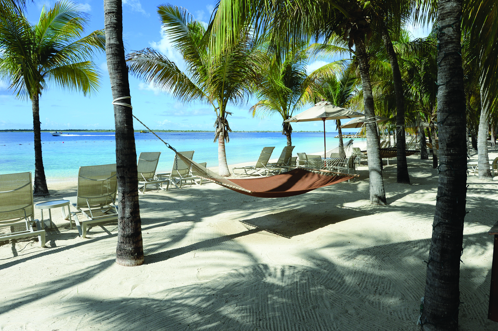 Beach Hammock 2