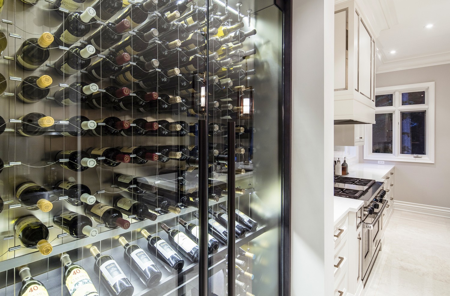 sml7 Custom Papro wine cellar with cable wine system tsa7