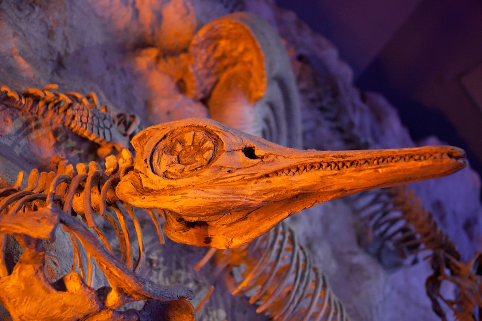 Dinosaur Bones: The Latest Must-Have Art Collectable for the Rich