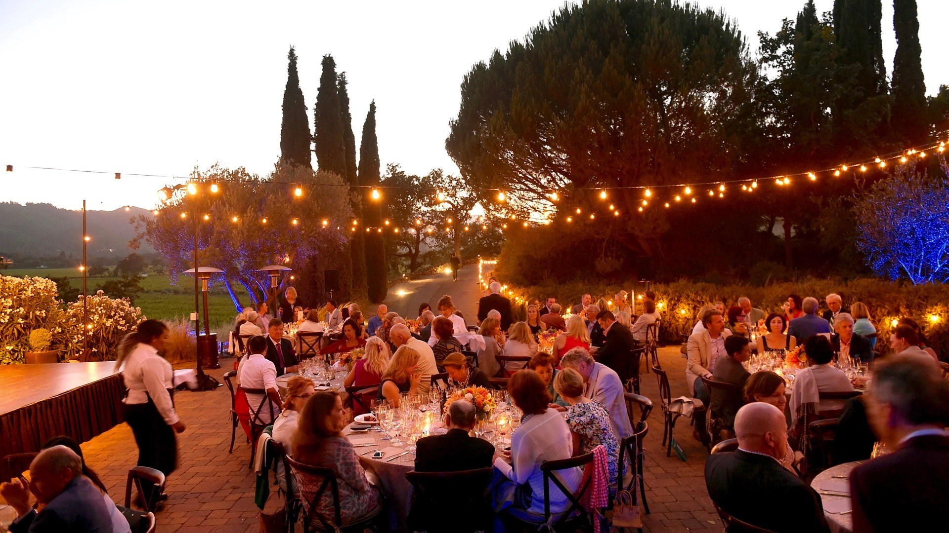 Festival Napa Valley