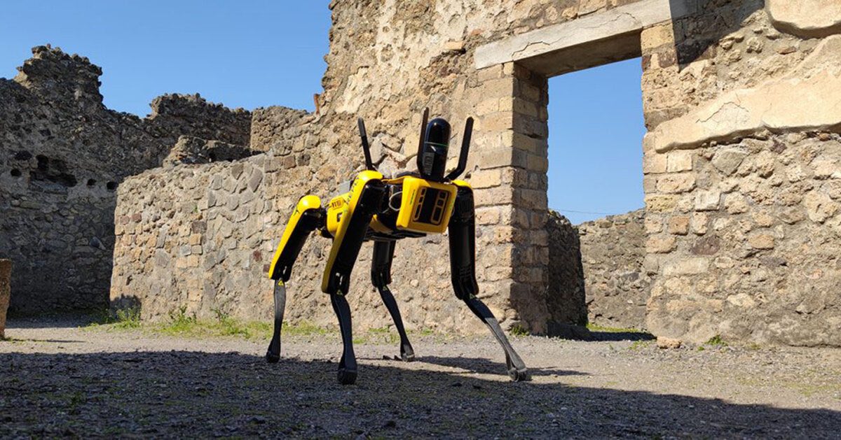 Robot Dog from Boston Dynamics