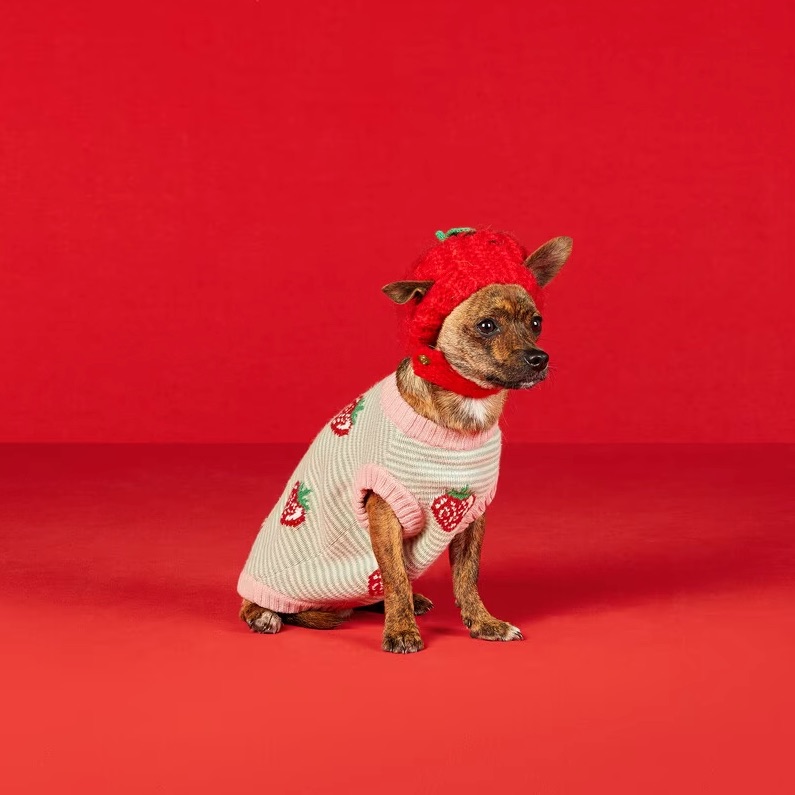 Gucci: Gucci Introduces Its New Pet Collection - Luxferity
