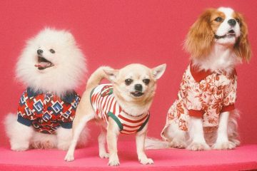 Gucci Pet Collection shirts