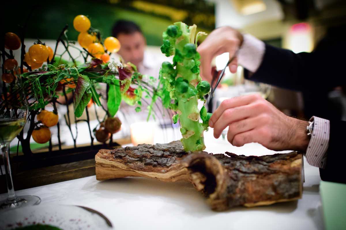Savory Sustainability: Restaurants Go From Dirt to the Dining Table