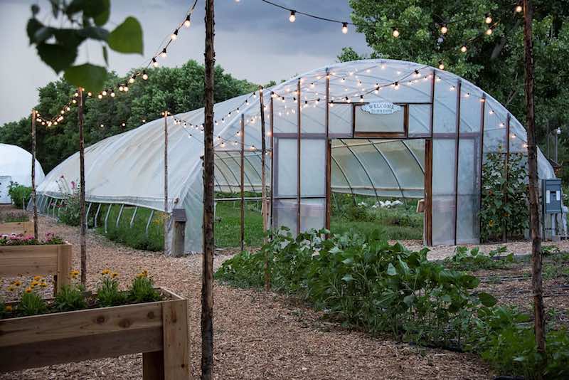 Farm and Table's Greenhouse