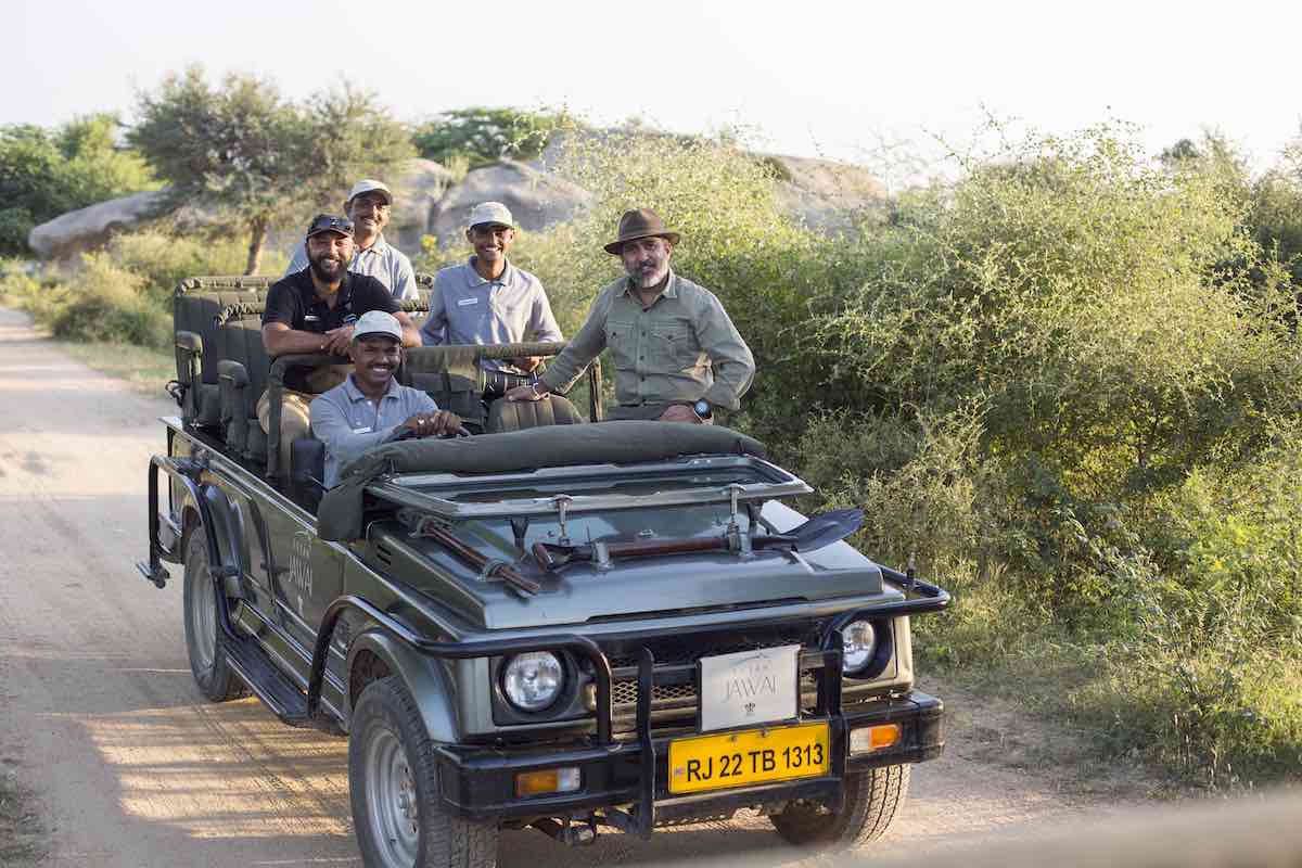 Safari in Rajasthan, India