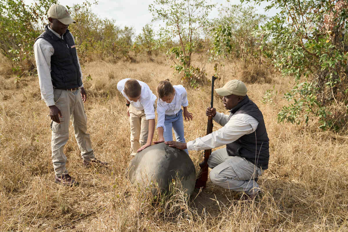 Two children and two adults pet a rhino on a safari