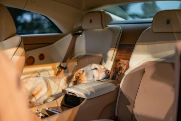 Rolls-Royce Unveils Spectre Bailey