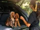 Bently Pet accessories - 1