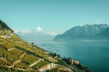 Lavaux Region - Olympic-City