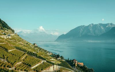 Lavaux Region - Olympic-City