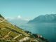 Lavaux Region - Olympic-City